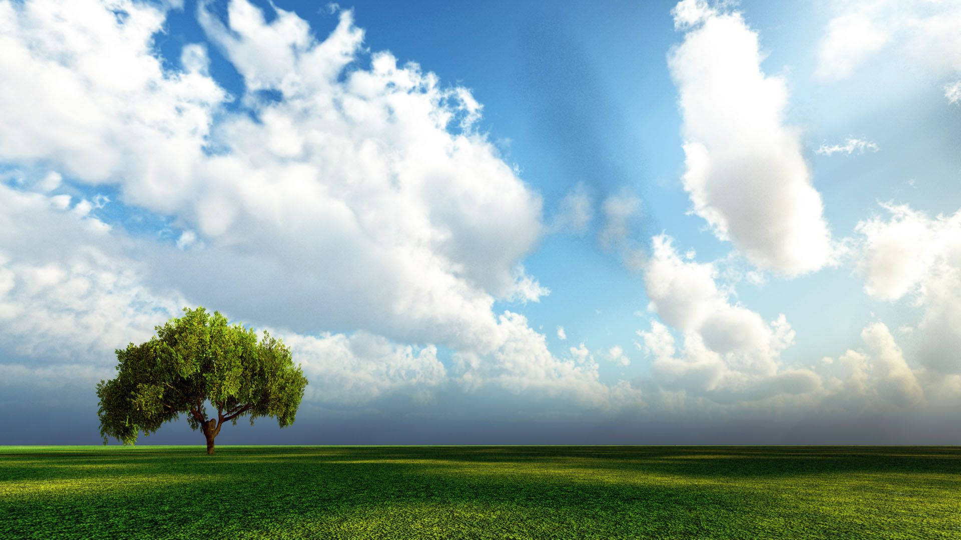 Heaven And Tree Background