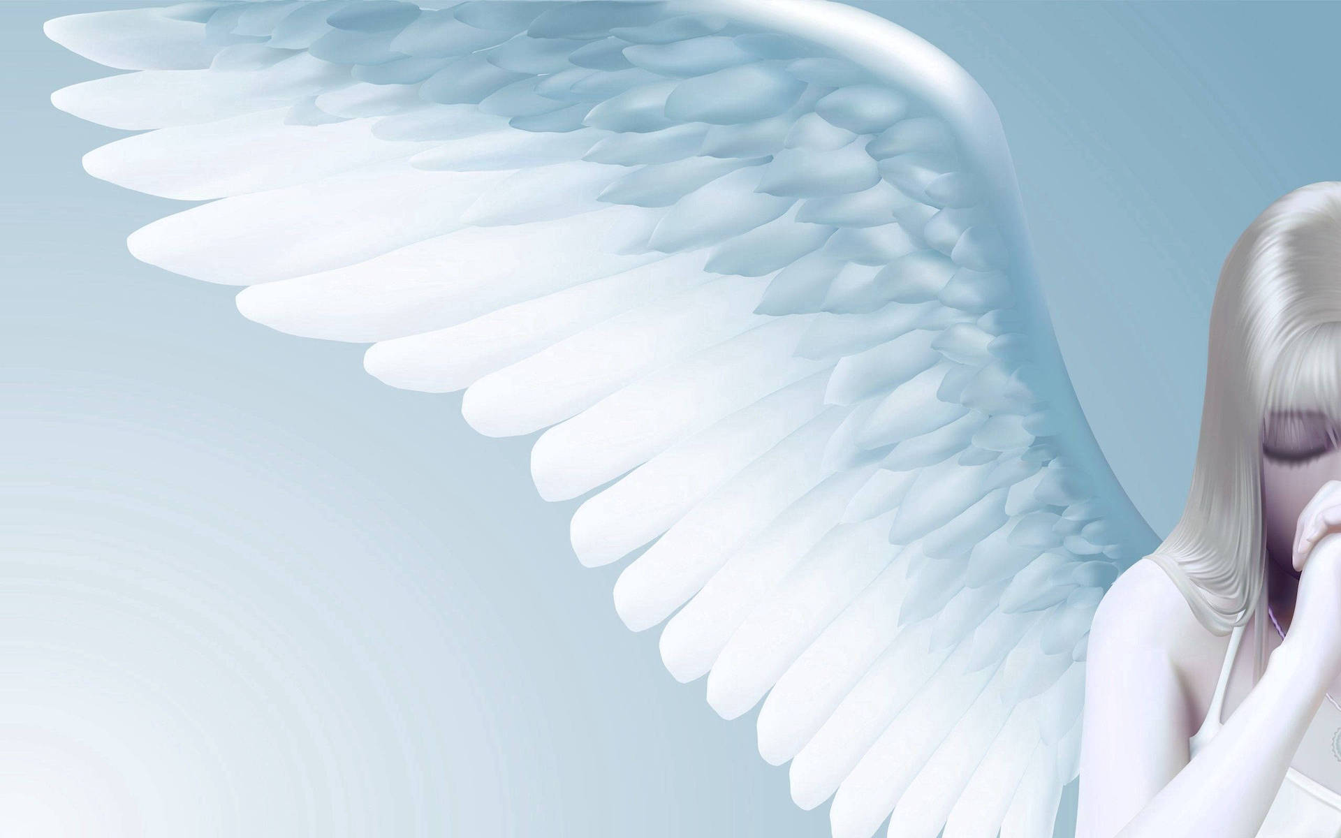 Heavenly Angels With Soft Feathers Wallpaper