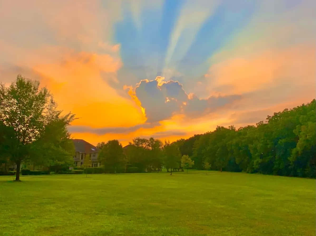 Heavenly Sunset Rays Over Park Wallpaper