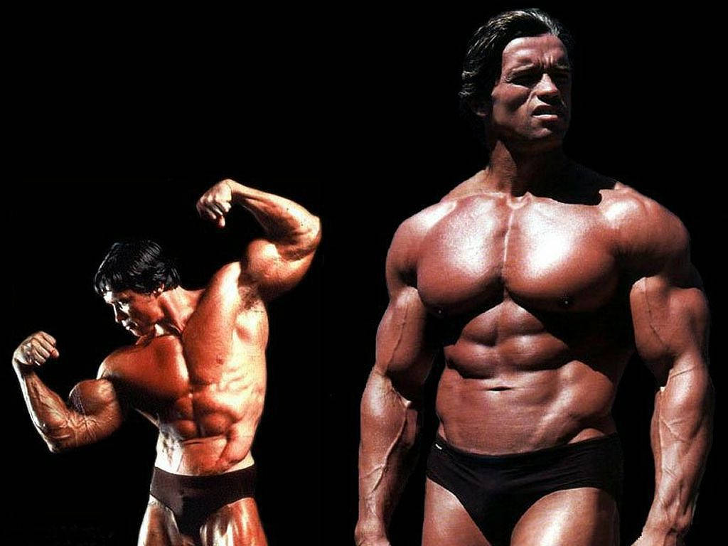 Heavy Muscle Body Arnold Schwarzenegger