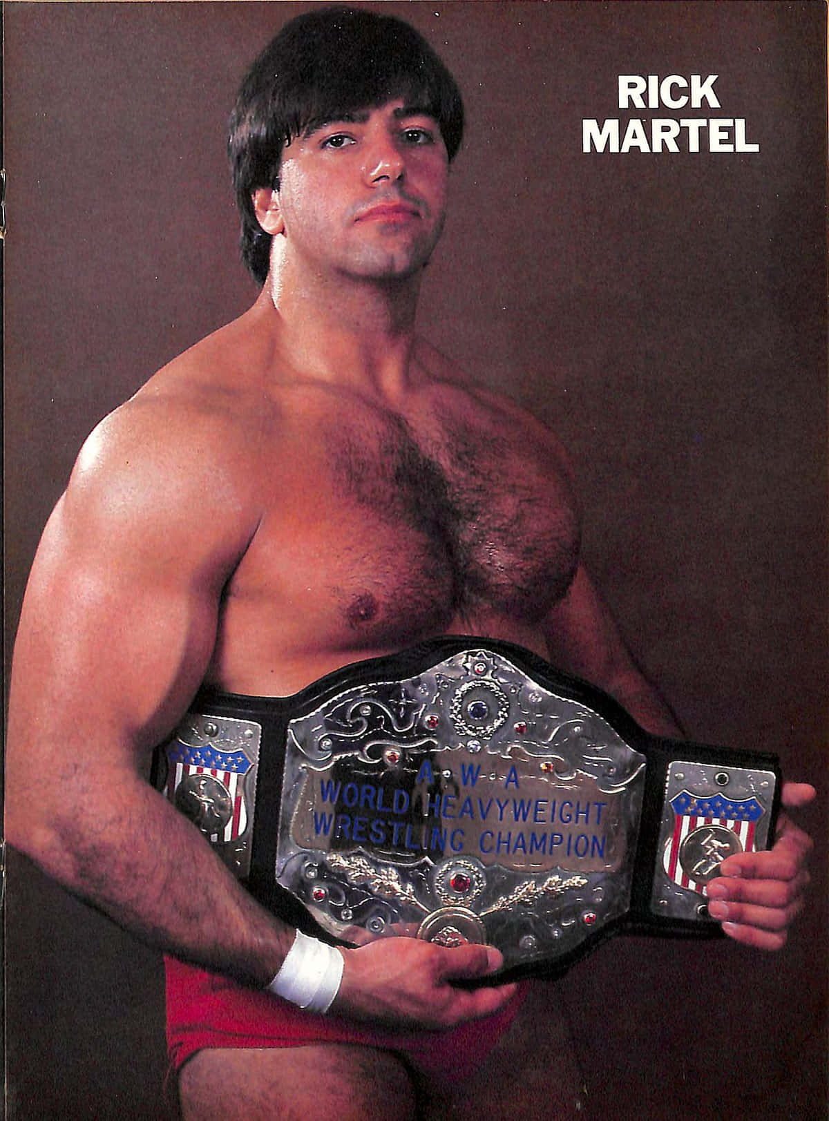 Heavyweight Champion Rick Martel Background