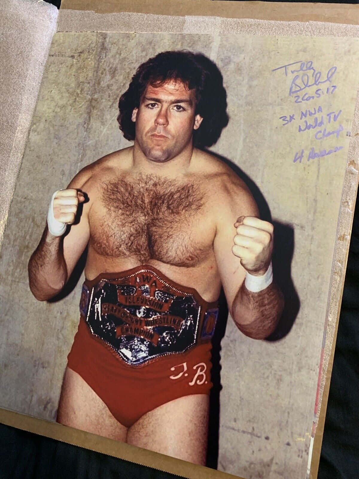 Heavyweight Wrestling Champion Tully Blanchard Wallpaper