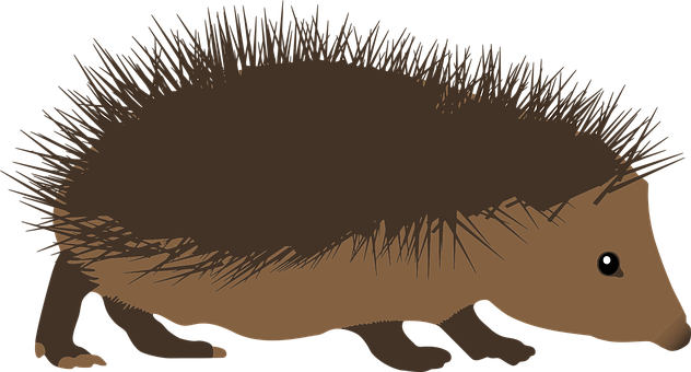 Hedgehog Silhouette Illustration PNG