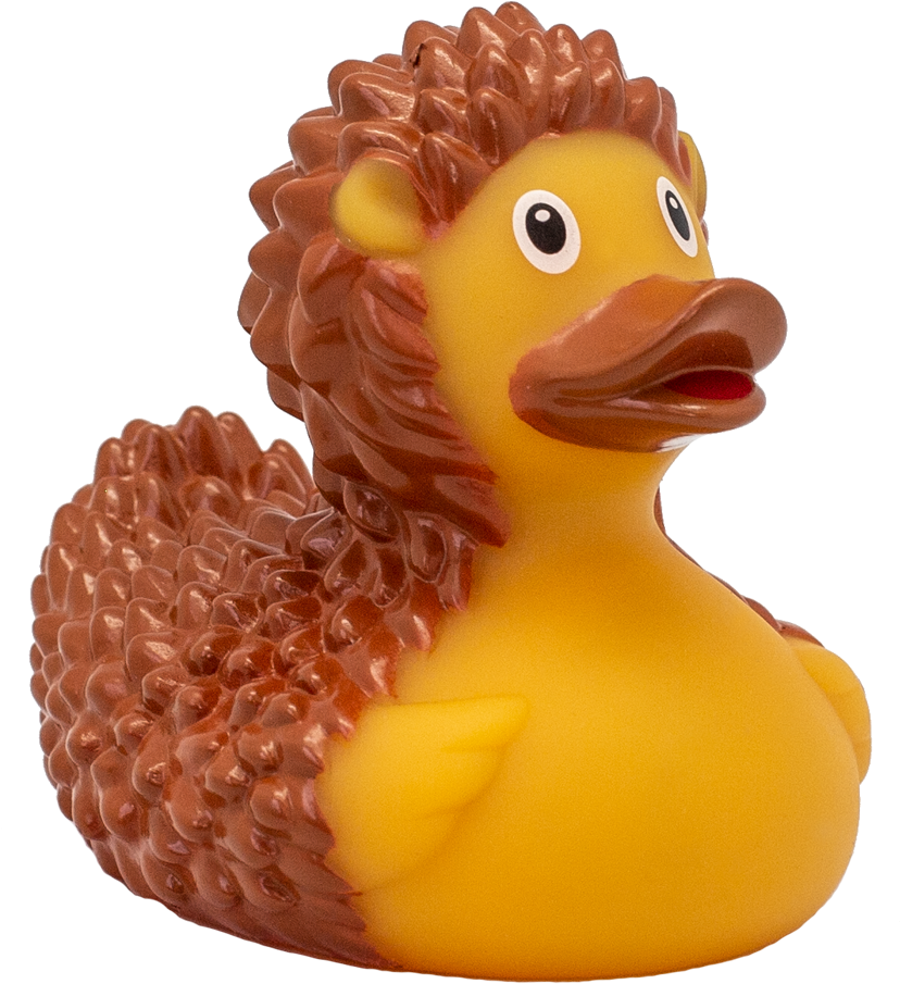 Hedgehog Themed Rubber Duck PNG