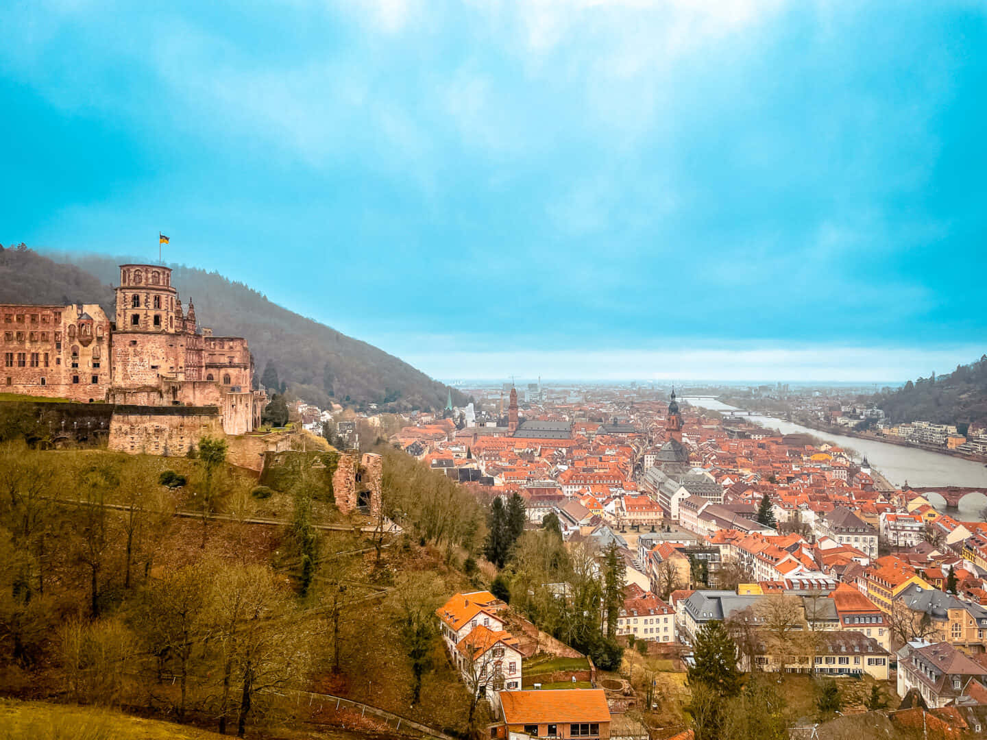 Vistadella Città Del Castello Di Heidelberg Sfondo
