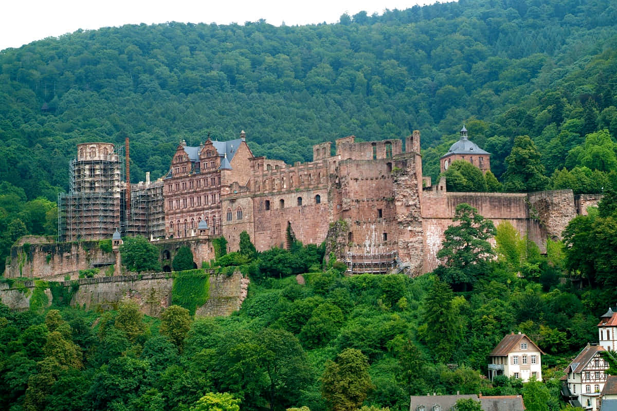 A Panoramic View of Heidelberg Castle Amidst Dense Forest Wallpaper