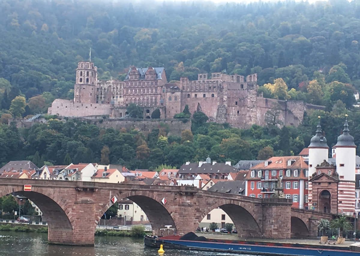 Castillode Heidelberg En Una Mañana Nebulosa. Fondo de pantalla