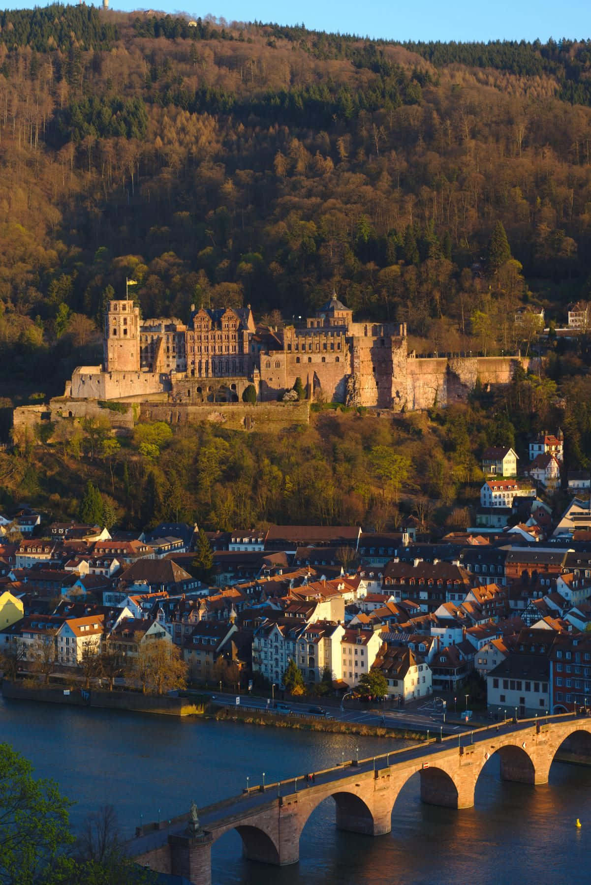 Castellodi Heidelberg Per Telefono Sfondo
