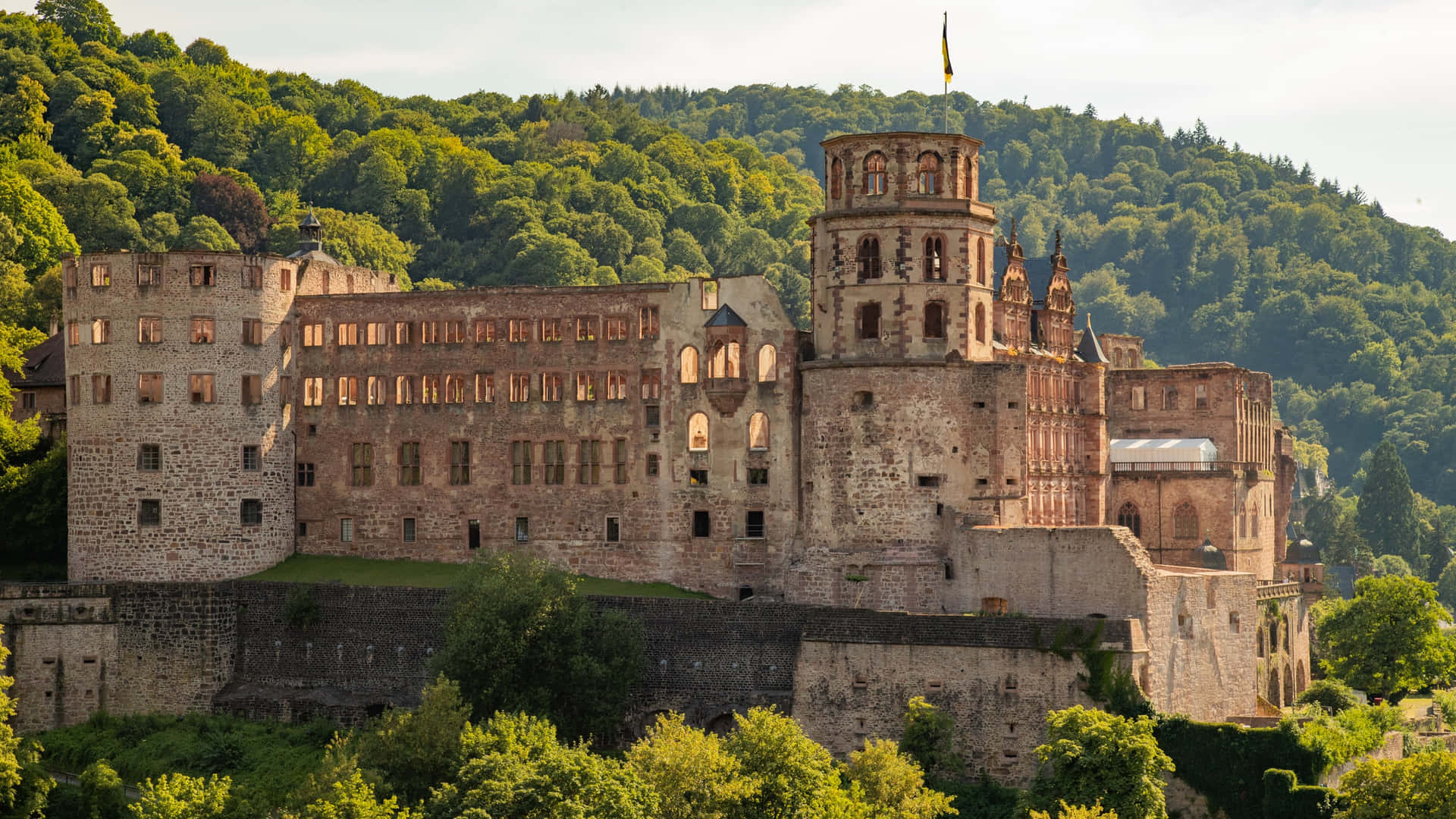 Heidelberg Castle In The Morning Wallpaper