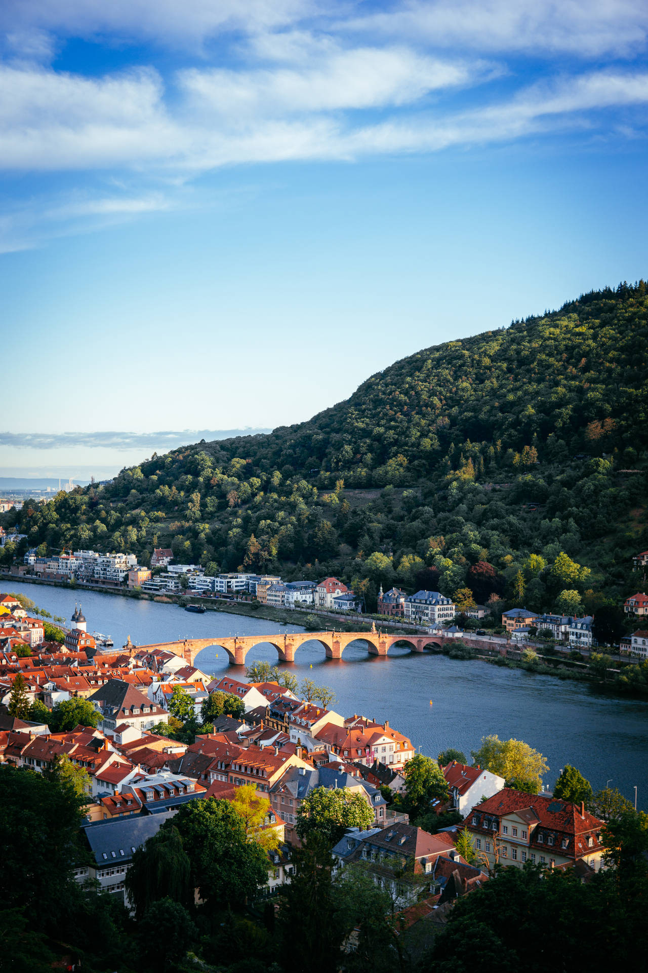 Heidelberg Castle Ruins Germany