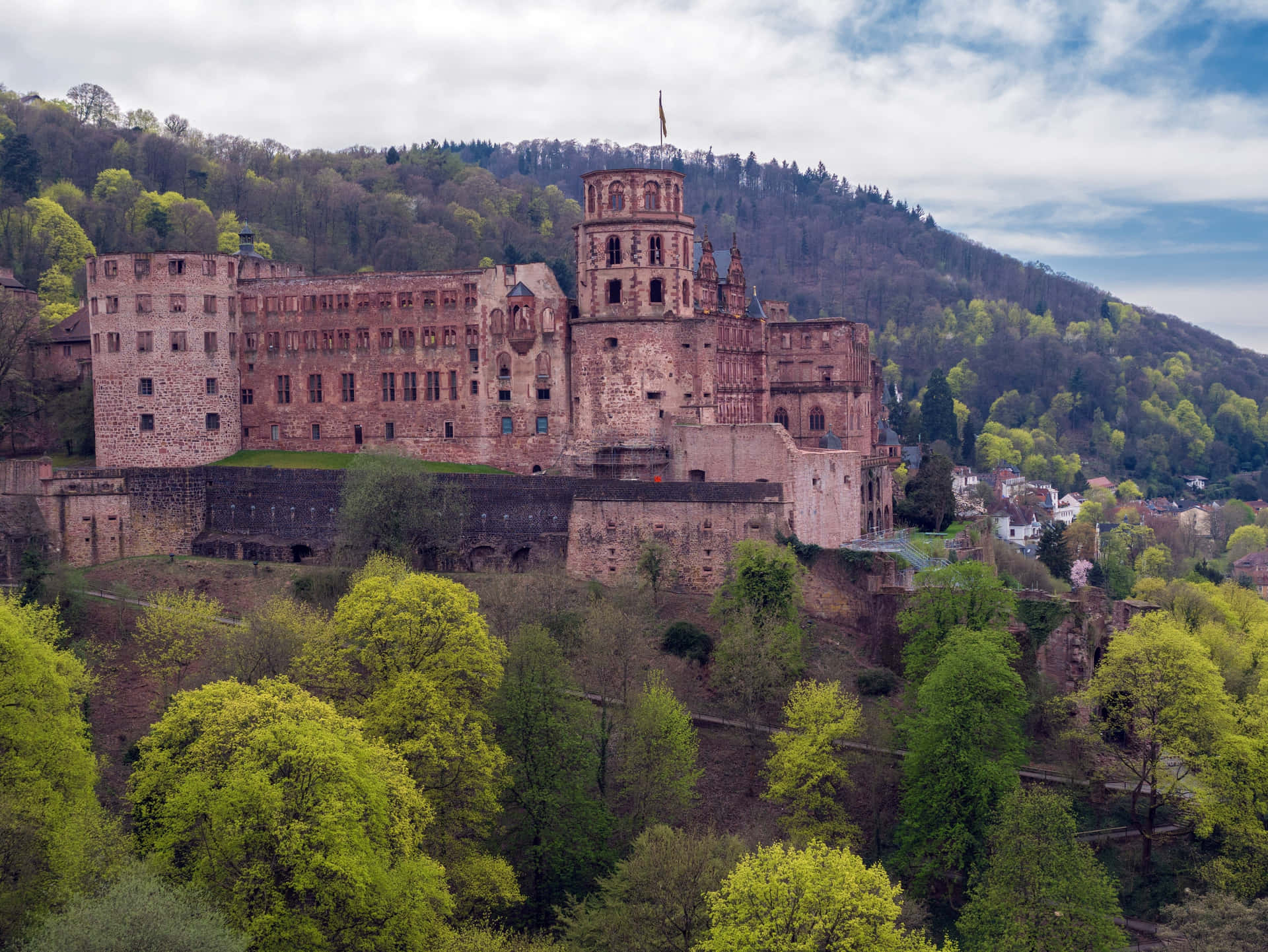Heidelberg Castle Trees Wallpaper