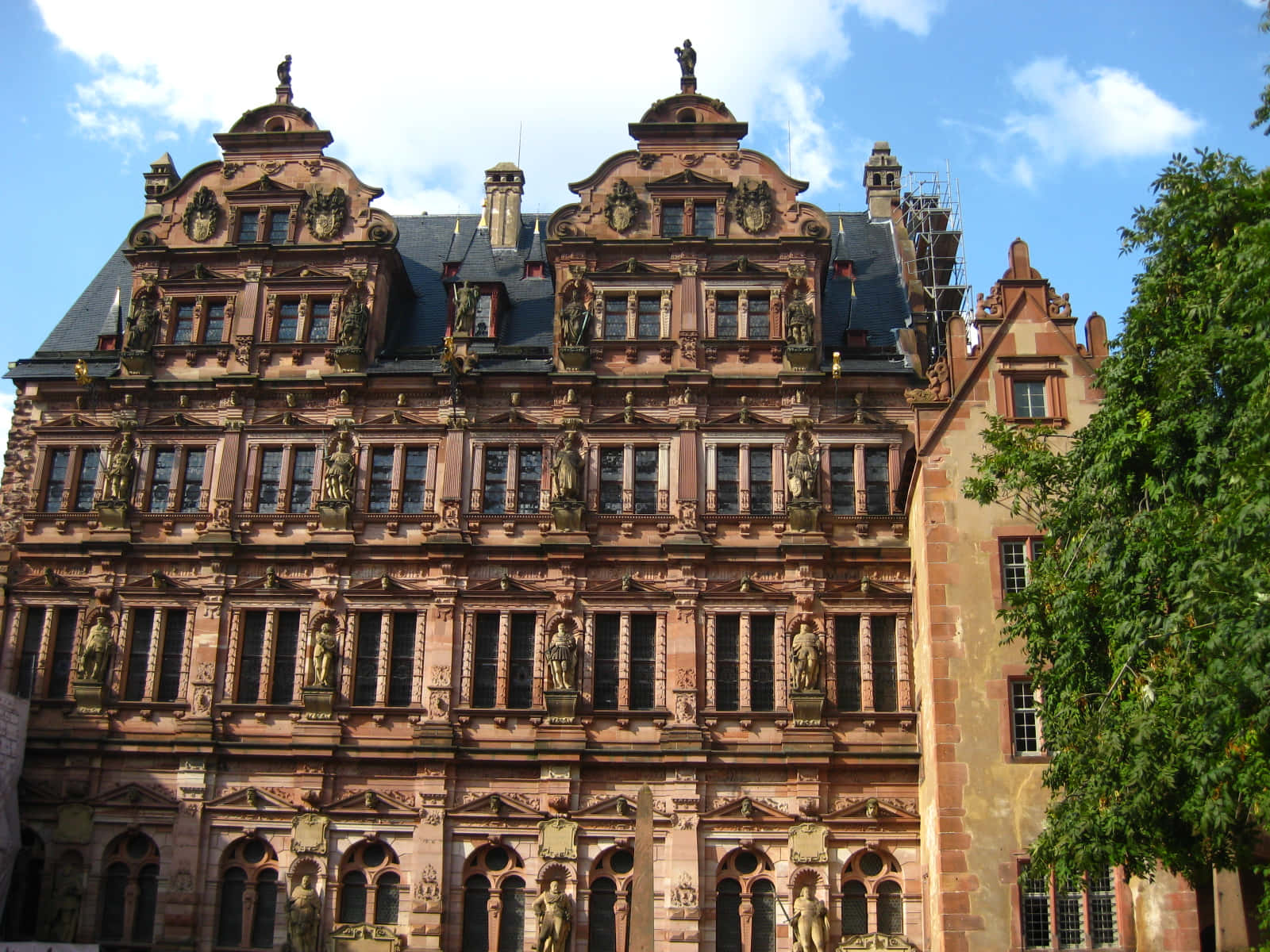 Heidelberg Castle Windows Wallpaper