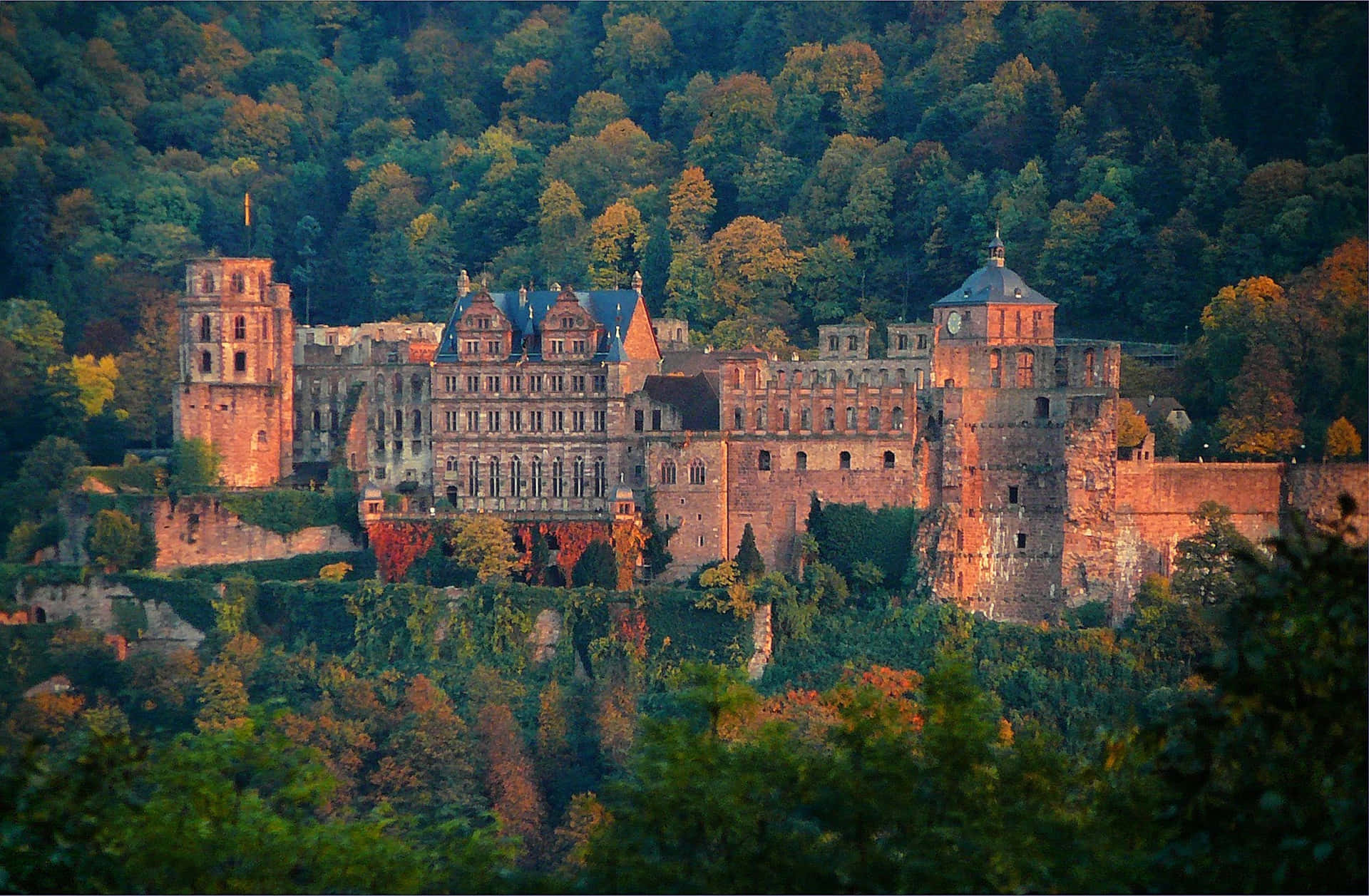 Castellodi Heidelberg Con Alberi Autunnali Sfondo