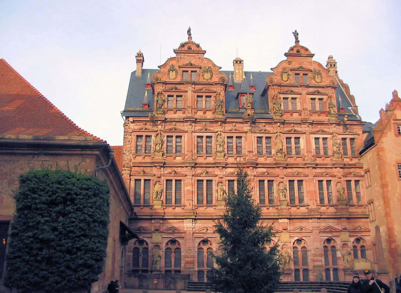 Heidelberg Castle Worm's Eye View Wallpaper