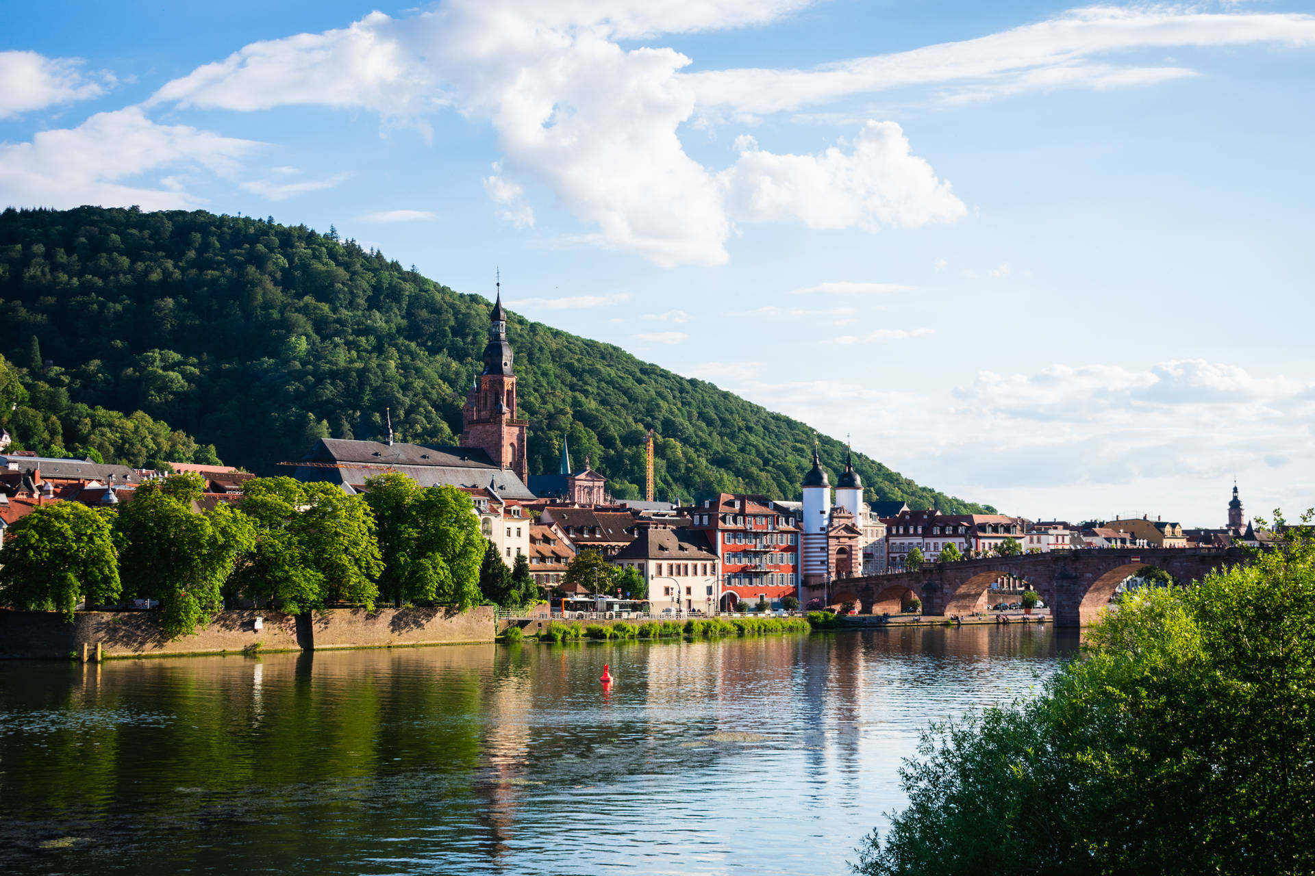 Heidelberg Town Germany Picture