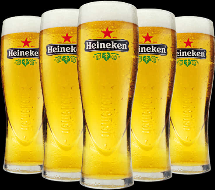 Heineken Beer Glassesina Row PNG