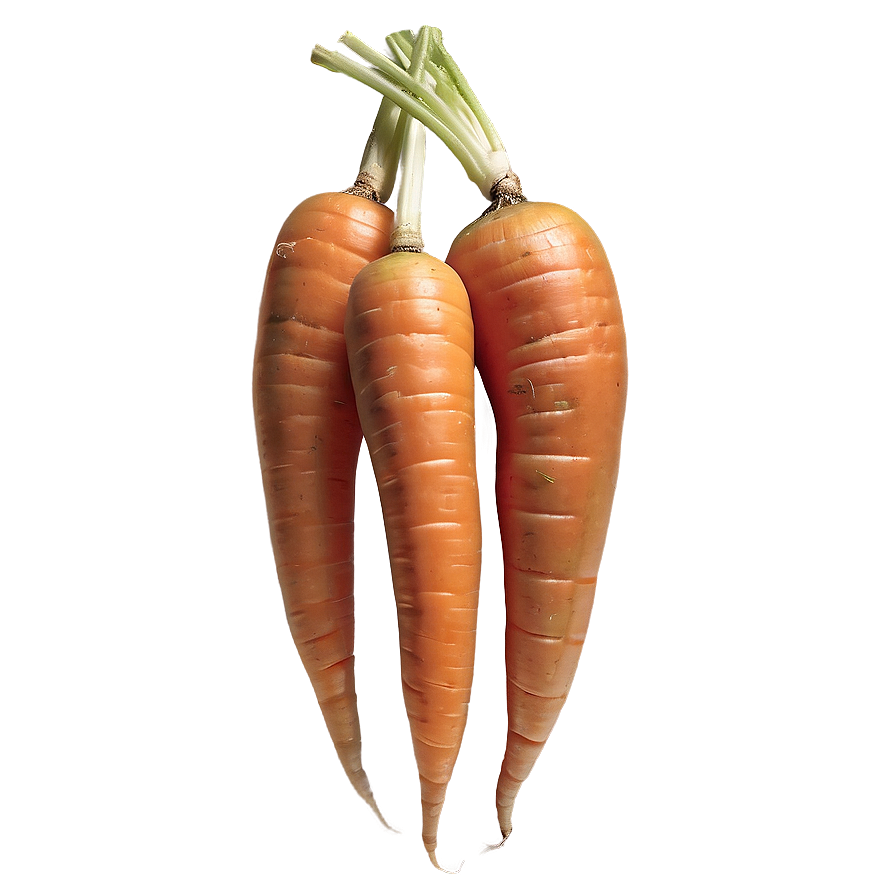 Heirloom Carrot Png Krg PNG