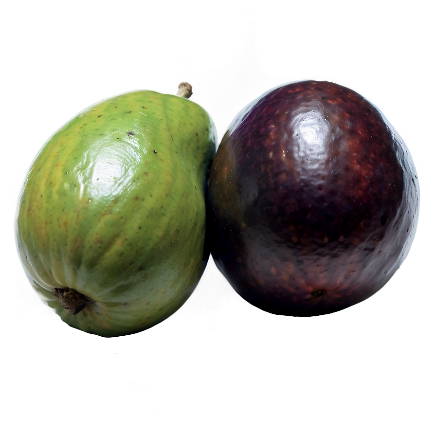 Heirloom Fruit Variety Png Nkd26 PNG