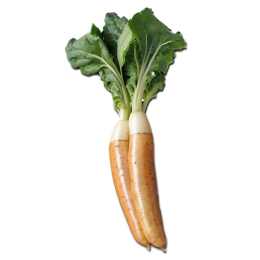 Heirloom Vegetables Png 52 PNG