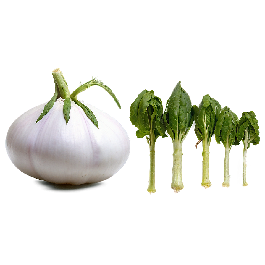 Heirloom Vegetables Png 52 PNG