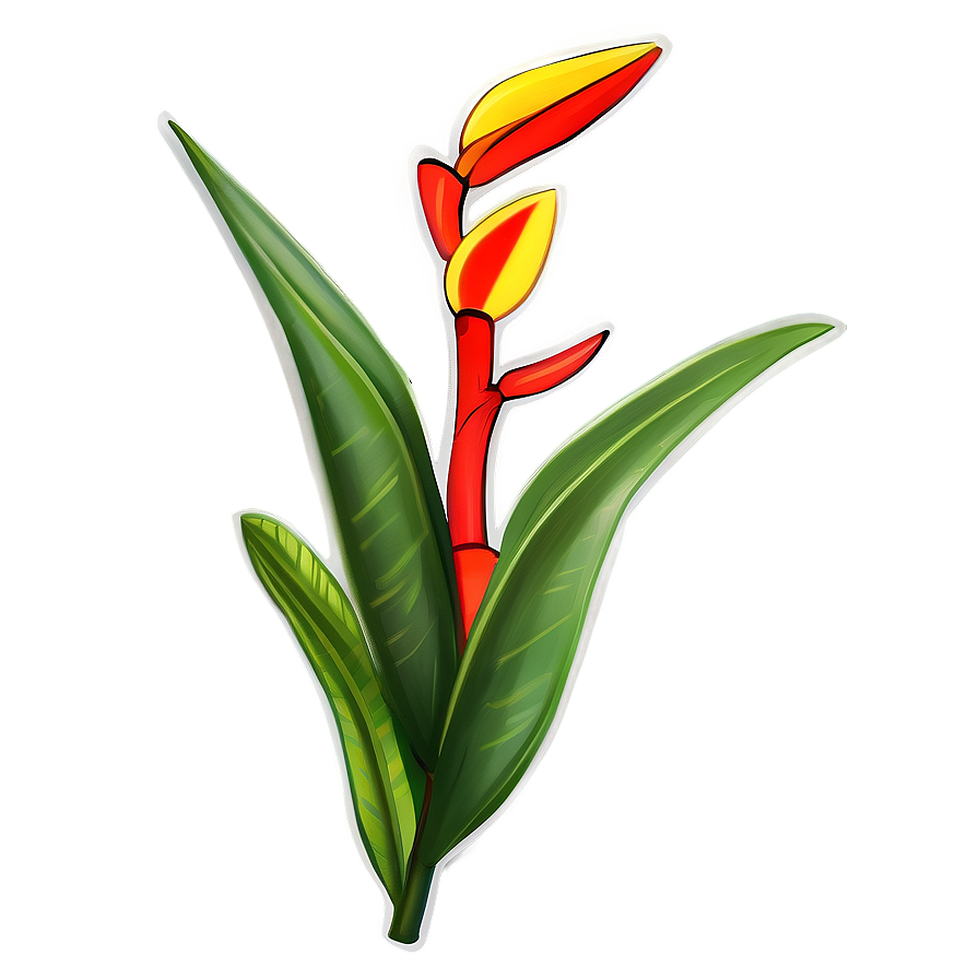 Download Heliconia Flower Drawing Png Wwp | Wallpapers.com