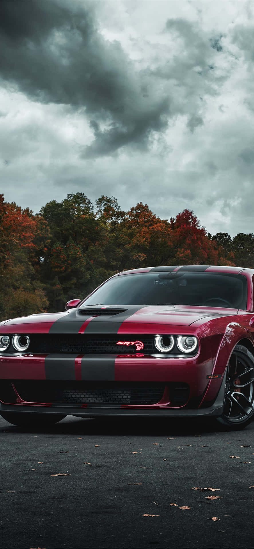 Download Style meets speed with the Hellcat Iphone Wallpaper  Wallpapers com