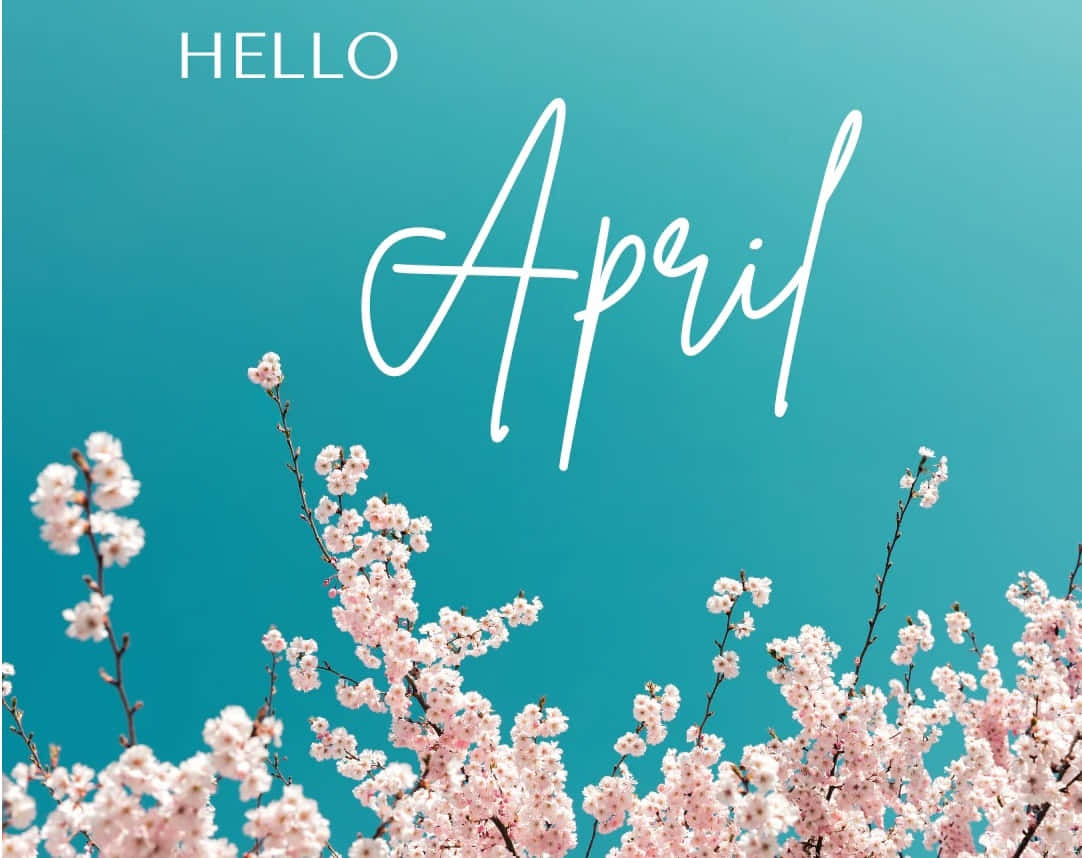 Hello April Cherry Blossoms Desktop Wallpaper Wallpaper
