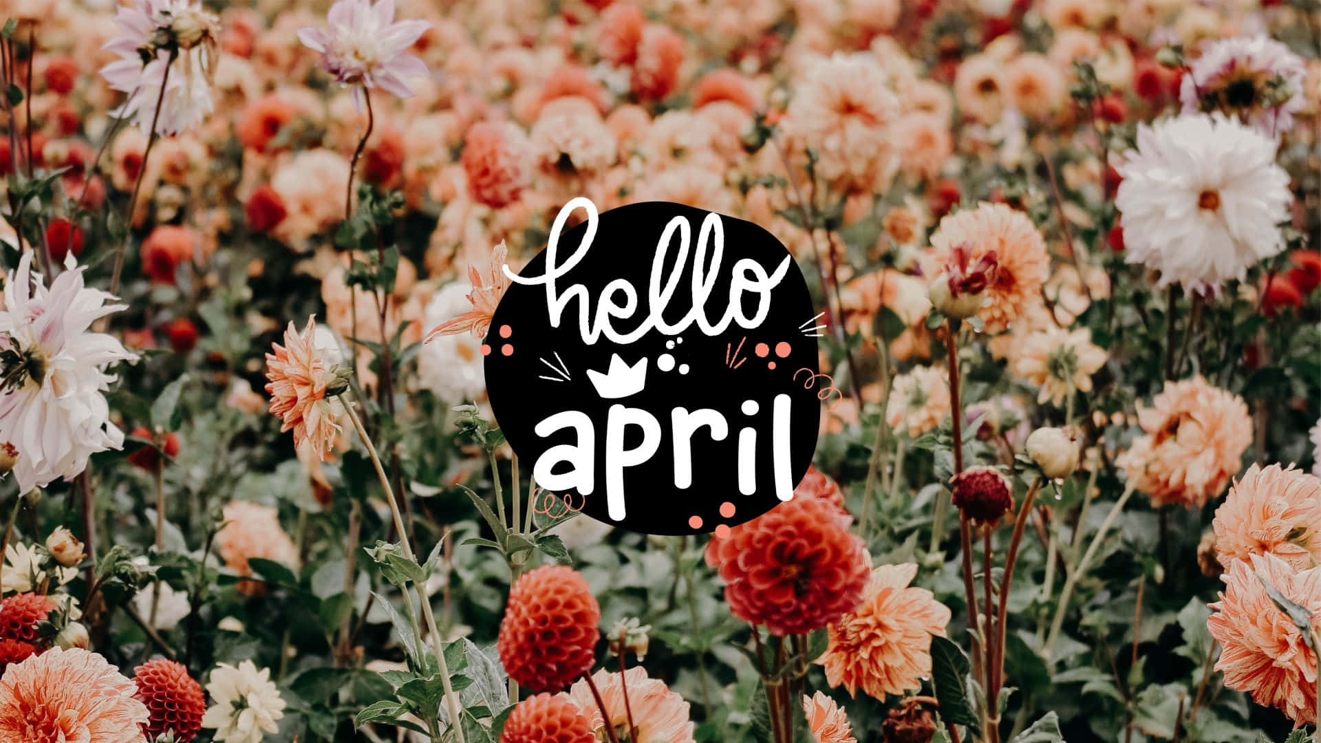 Hello April Floral Backdrop Wallpaper