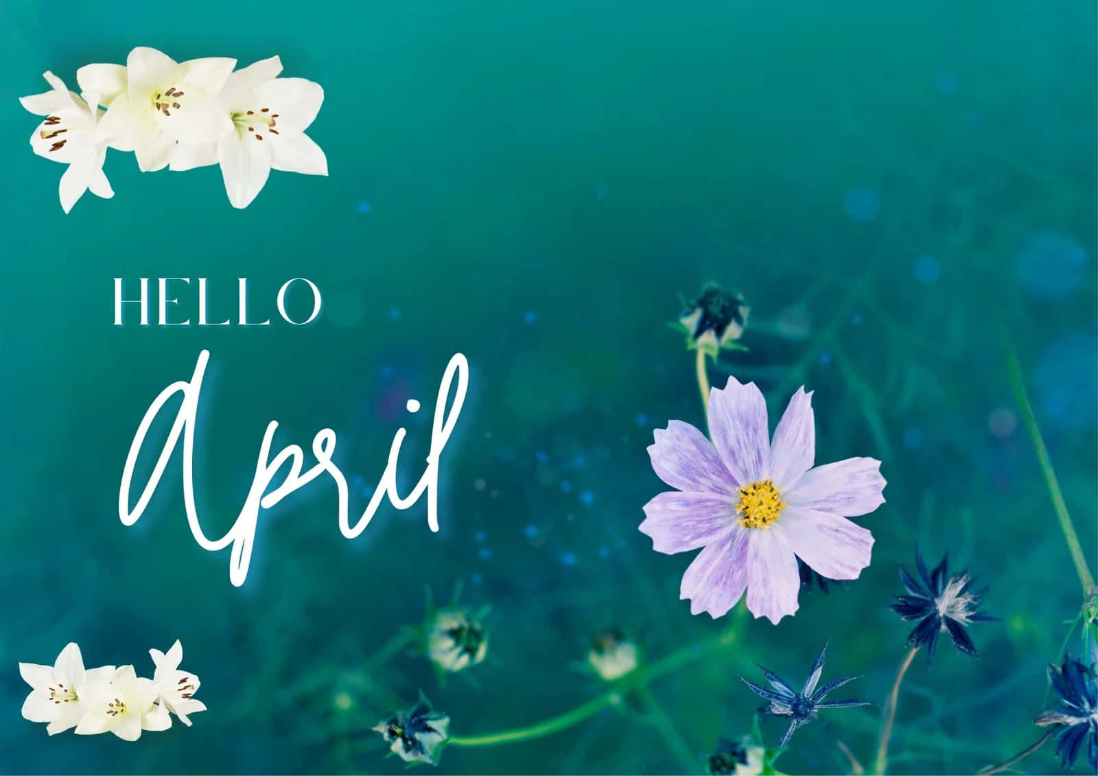 Hello April Floral Desktop Background Wallpaper