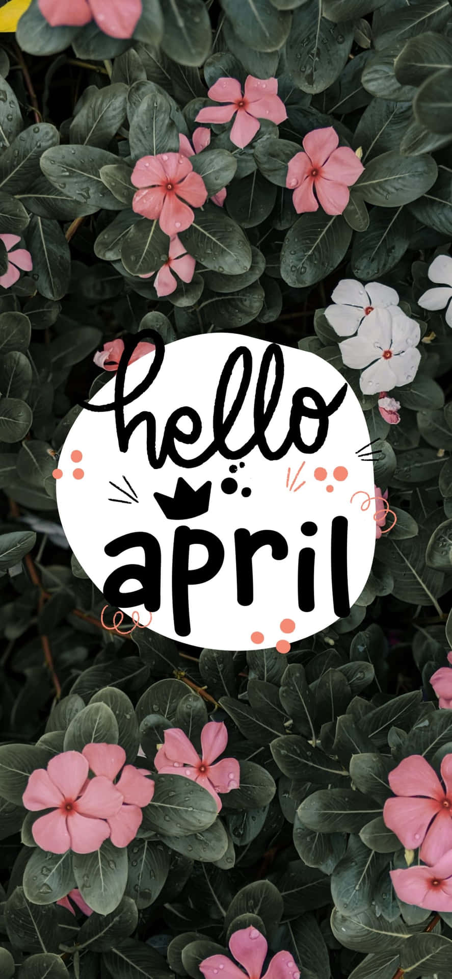 Hello April Floral Greeting Wallpaper