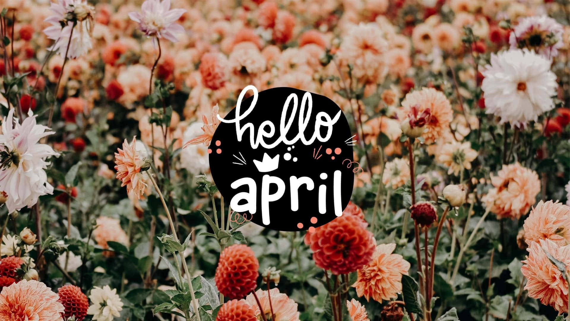 Hello April Floral Greeting Wallpaper