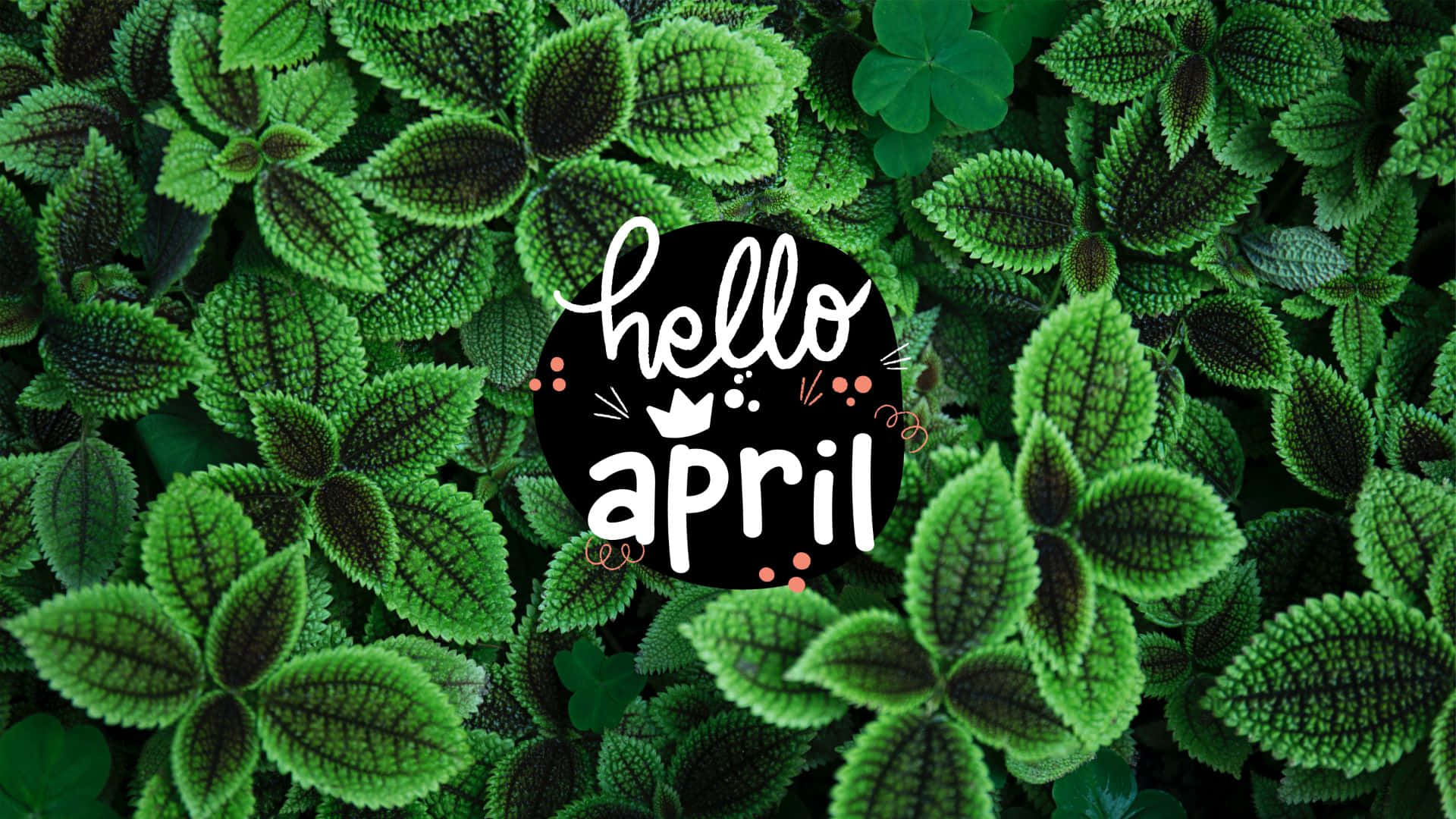 Hello April Green Leaves Backdrop Wallpaper