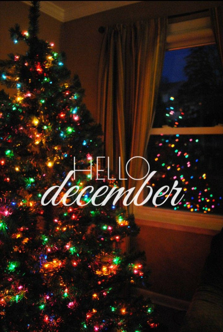 Hello December Big Christmas Tree Wallpaper