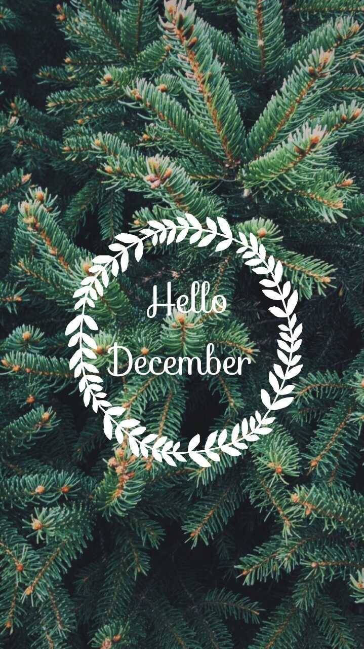 Hello December Christmas Tree Leaves Wallpaper