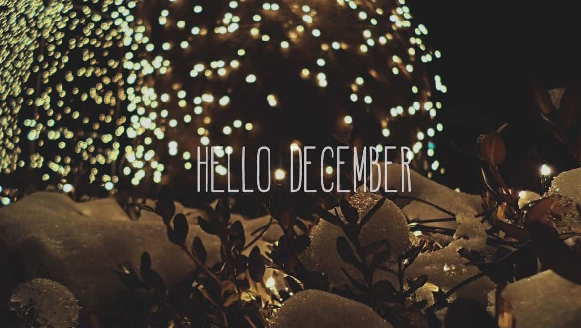 Hello December Winter Lights Wallpaper