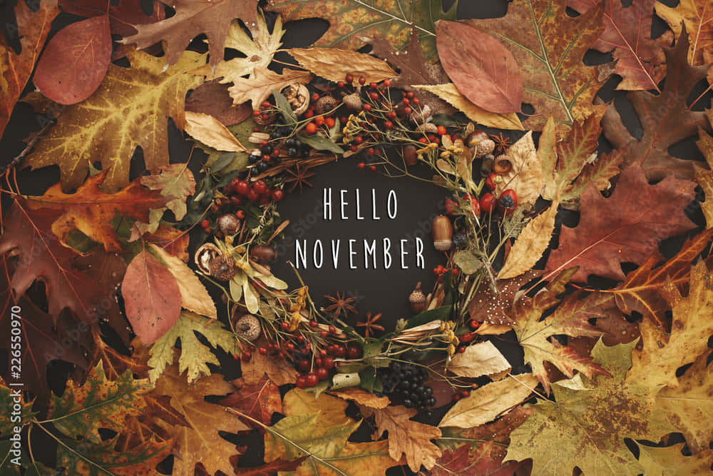Celebrate the beauty of fall Wallpaper