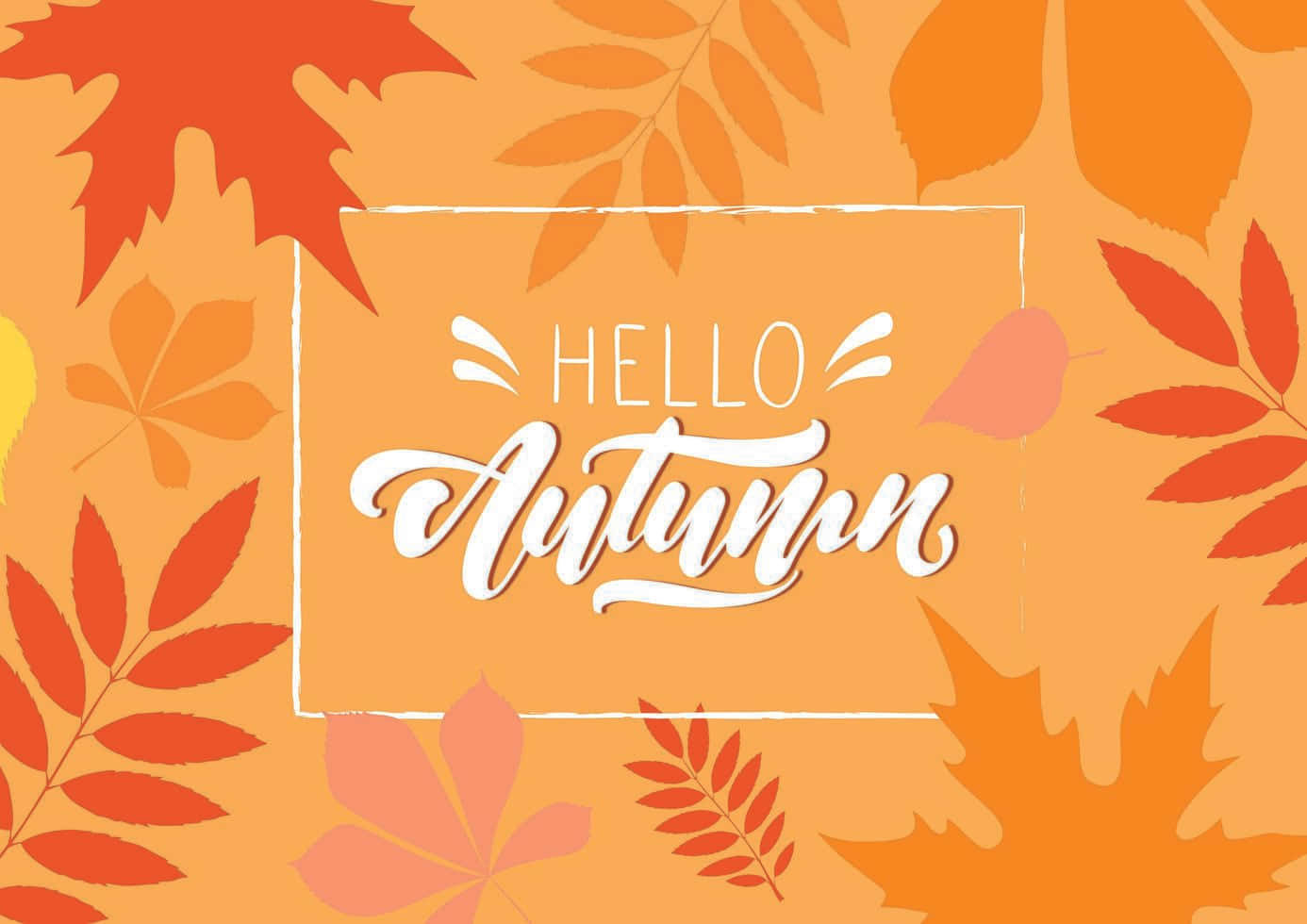 Hello Fall Lettering Autumn Background Wallpaper