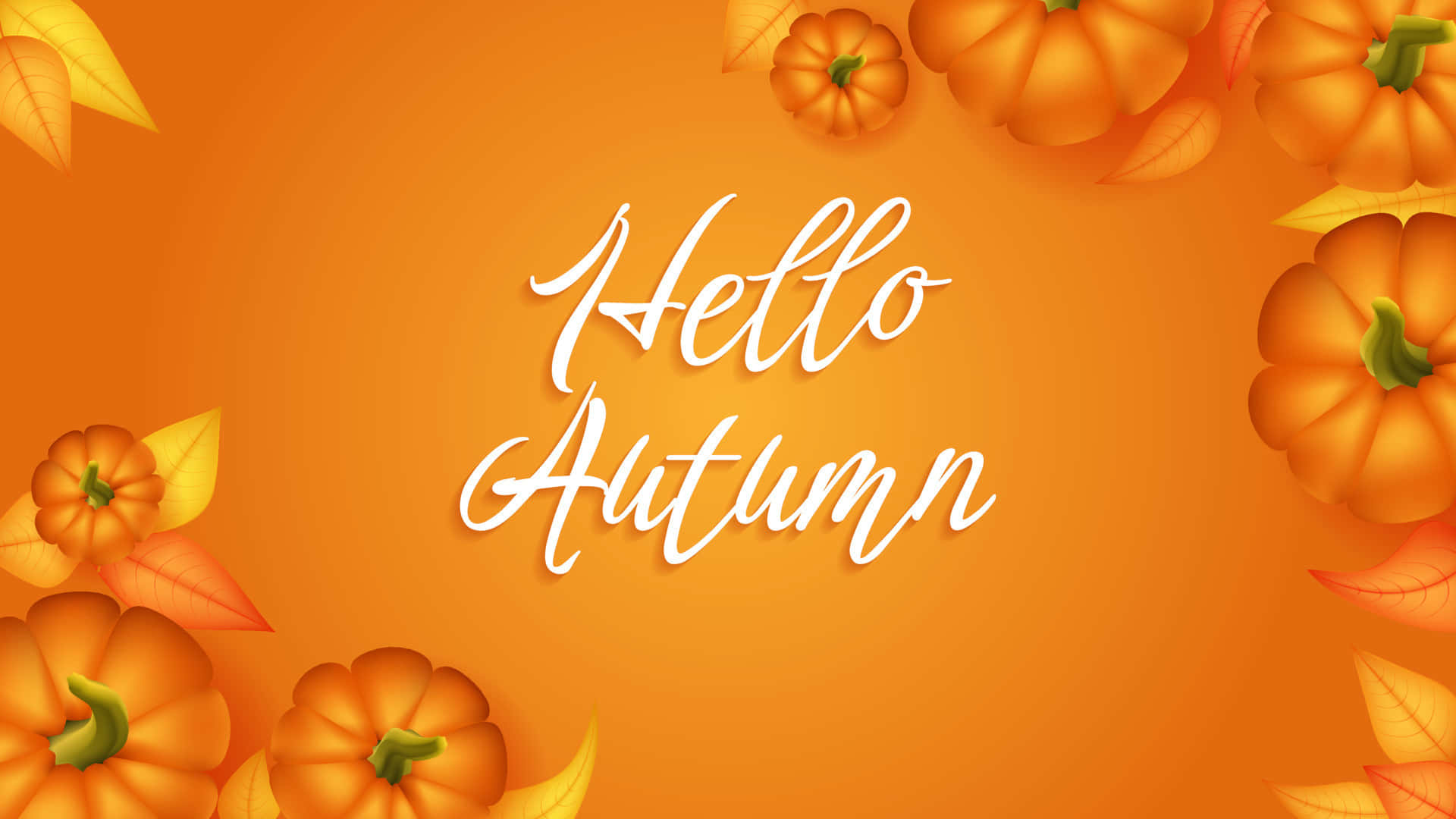 Hello Fall Autumn Orange Pumpkins Wallpaper