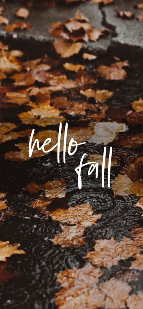 Nyd det farverige skønhed af efteråret i dette fredelige bjergscene. Wallpaper