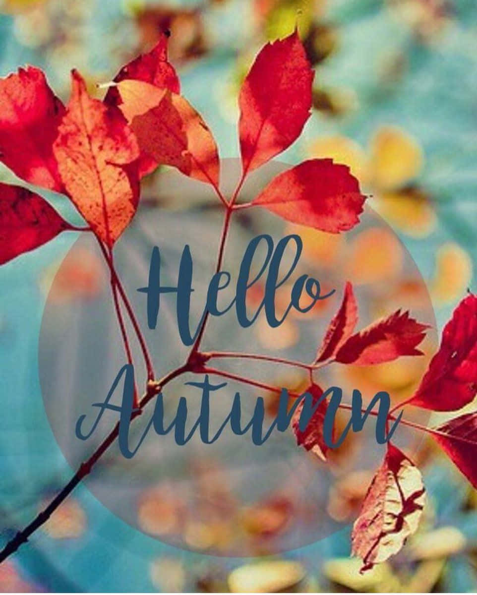 "Hello Fall! Let's Enjoy This Beautiful Season!" Wallpaper