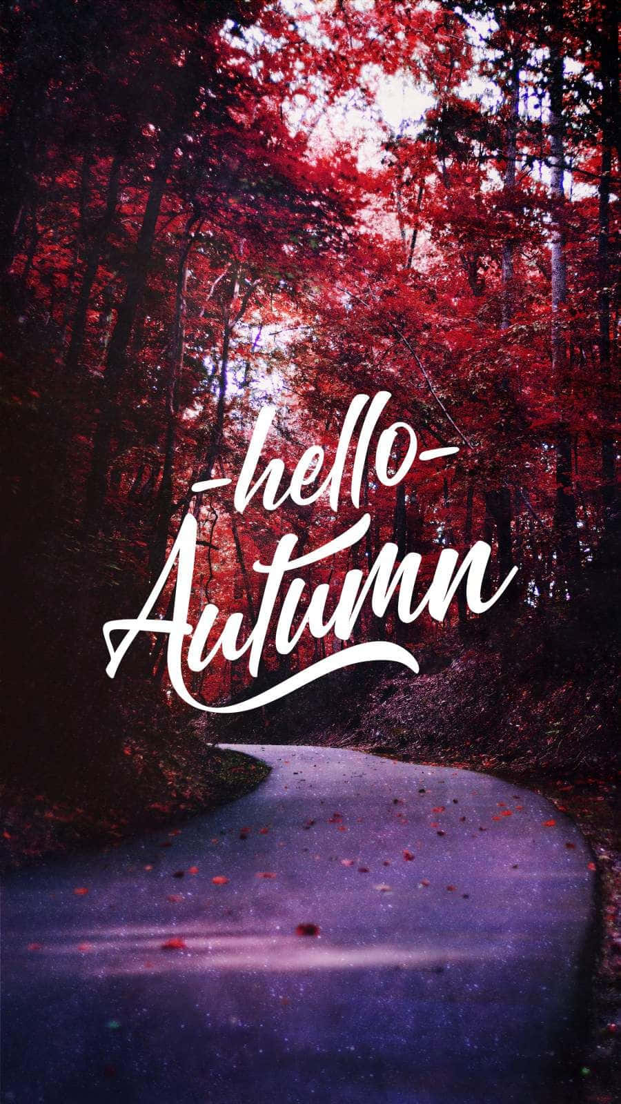 Hej Efterår! Giv efteråret en hilsen med denne smukke udendørs scene med faldende blade. Wallpaper