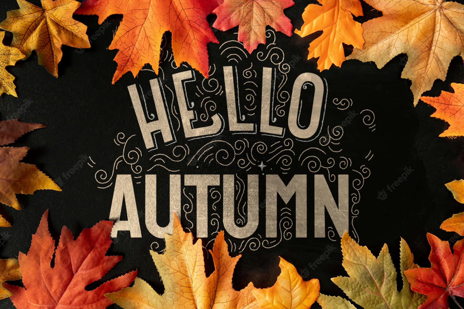 Autumn Hello Fall Background Green Wallpaper Image For Free Download   Pngtree