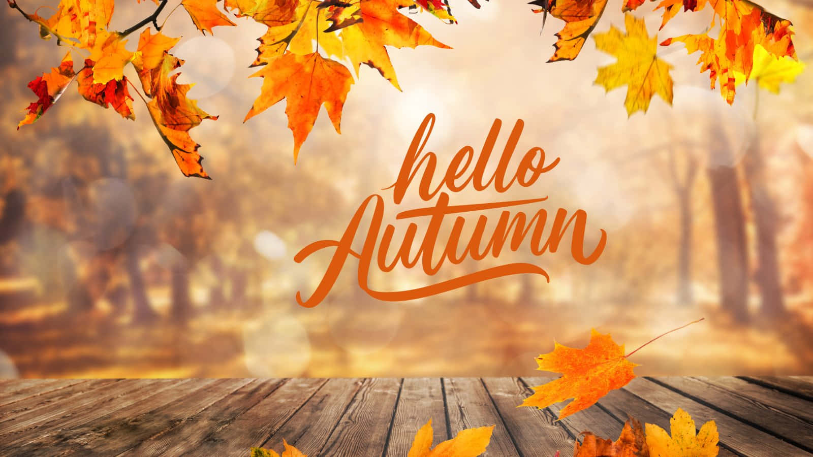Hello Fall Wooden Background Wallpaper