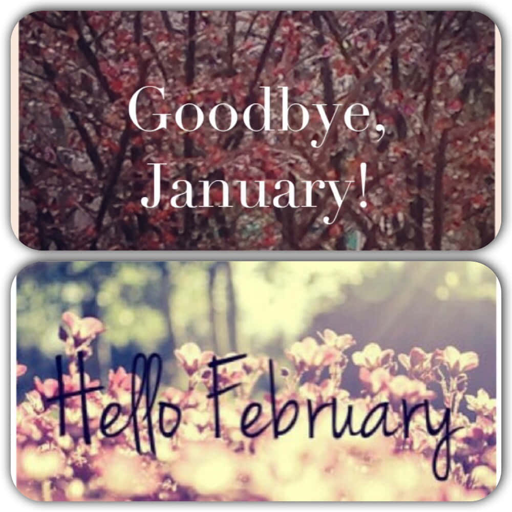 Hello February – A Fresh Start Wallpaper