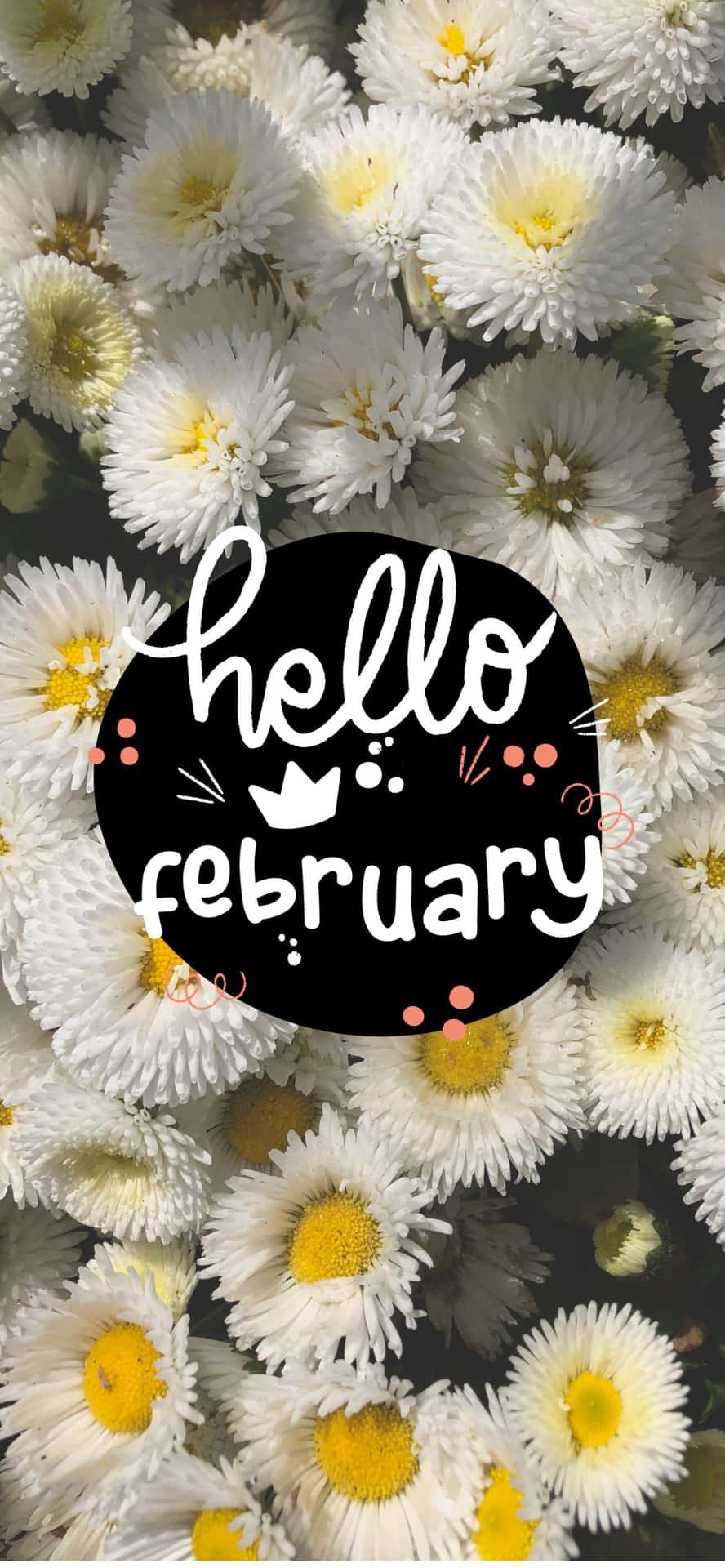 Hello February - Celebrate Spring's Arrival! Wallpaper