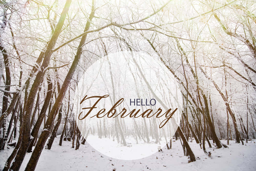 Hello February - Winter Forest Wallpaper
