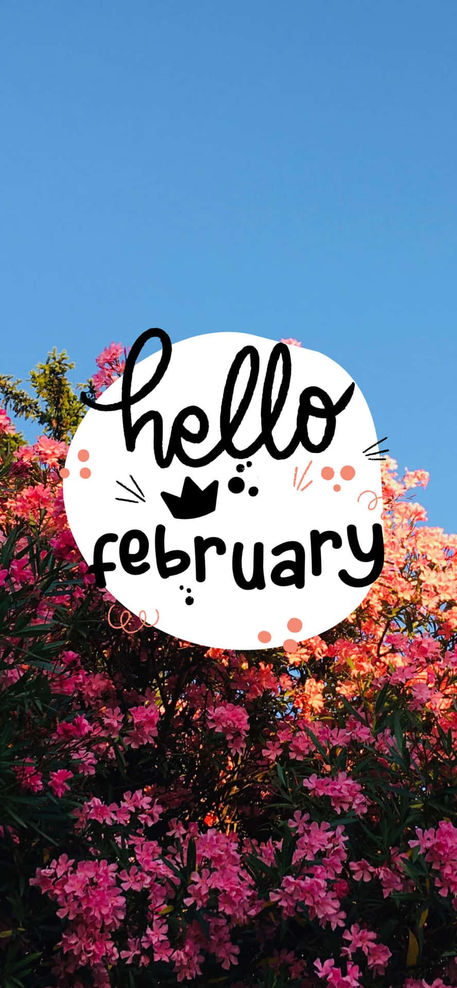 Hello February - A Flowering Tree With The Words Hello February Wallpaper