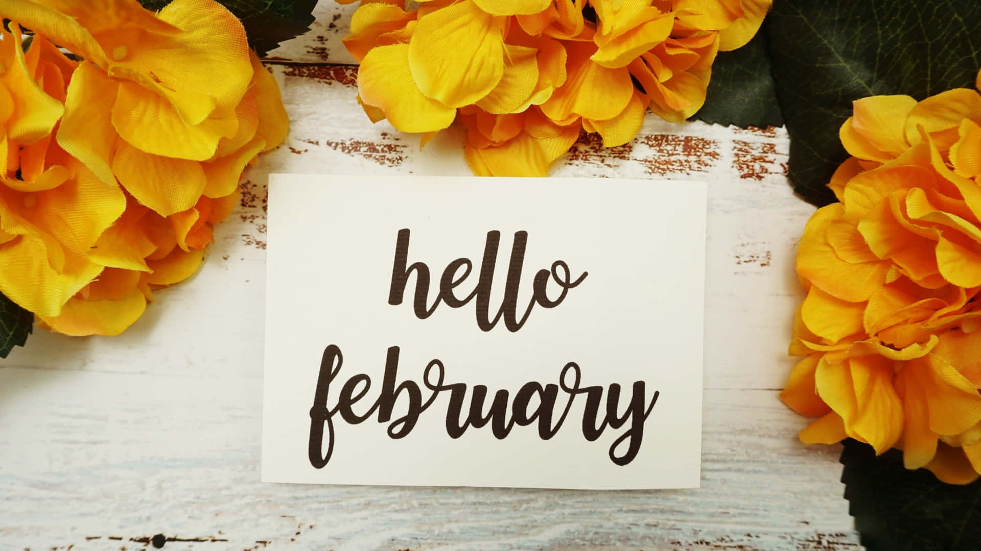 Hello February Card With Yellow Flowers Wallpaper