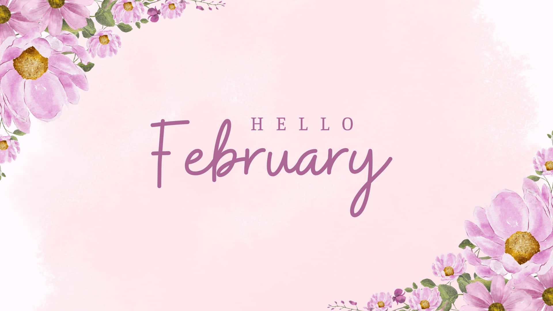 Hello February Floral Desktop Wallpaper Wallpaper