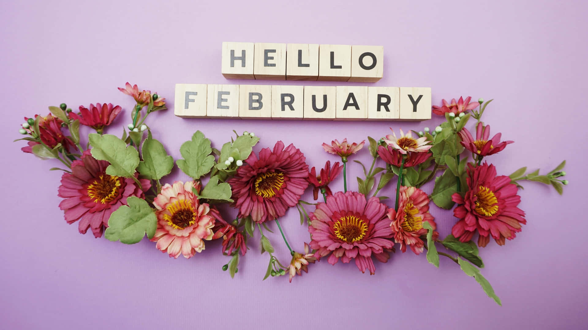Hello February Floral Greeting Wallpaper